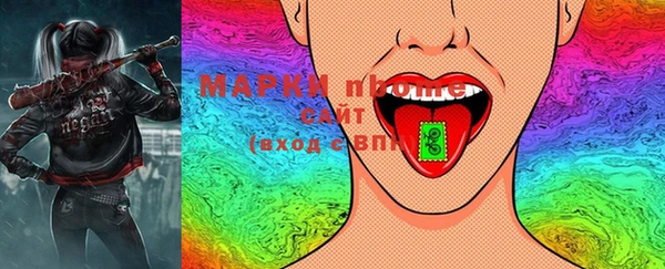 шишки Инсар