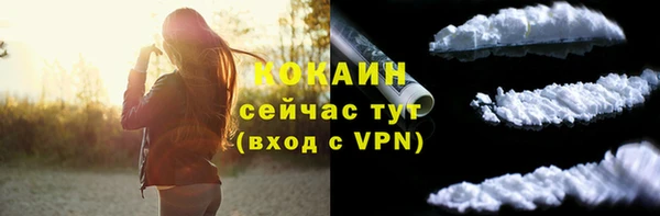 прущая мука Инта