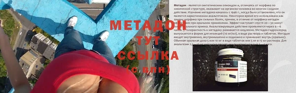 шишки Инсар