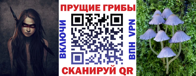 Псилоцибиновые грибы Magic Shrooms  Купить  Макушино 